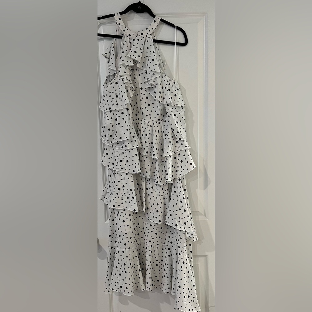 NWT Camla polka dot ruffled dress
